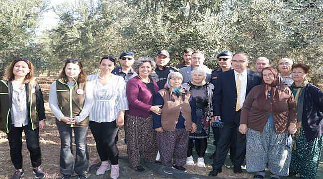 Foça zeytin hasadıyla şenlendi