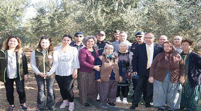 Foça zeytin hasadıyla şenlendi 