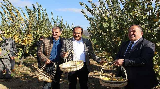 İzmir'de 'Ayva Hasat Töreni' düzenlendi