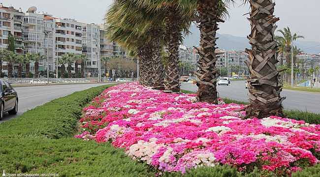 İzmir 3.5 milyon çiçekle renklendi