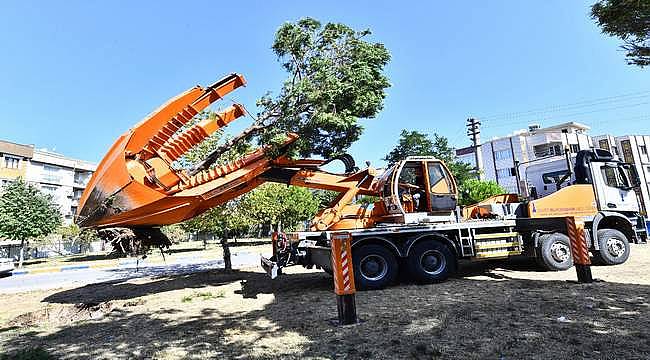 Buca'da Metrosu'nda istasyon inşaatları öncesinde ağaçlar geçici olarak taşınıyor 