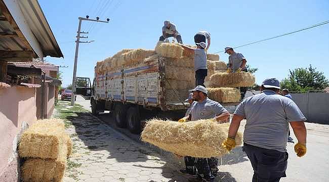 Eskişehir'de "Küçük Çiftçiyi Destekleme Projesi" devam ediyor