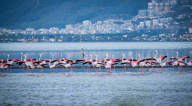 İzmir'in denizi 'mükemmel' çıktı