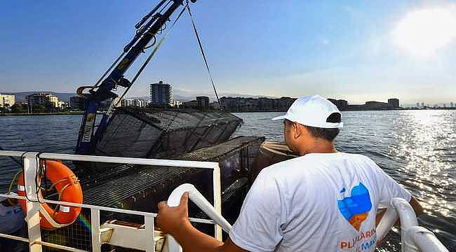 İzmir Körfez'ine ekolojik dokunuş: Deniz patlıcanları temizlenme sürecini hızlandıracak 