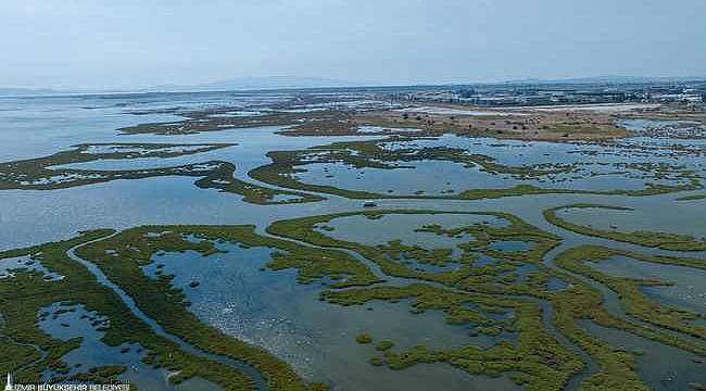 Gediz Deltası'nın restorasyonu için 1 milyon 500 bin Euro'luk hibe desteği 