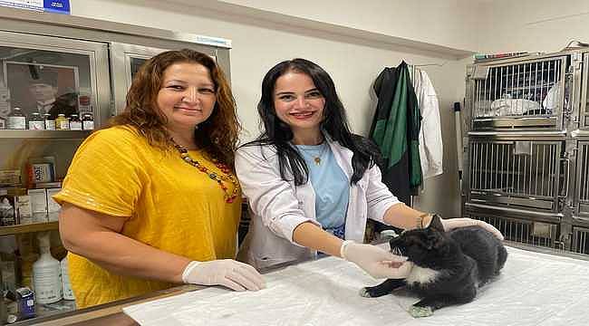 Minik Patiler Kliniği'nde 1000. Kısırlaştırma Gerçekleştirildi