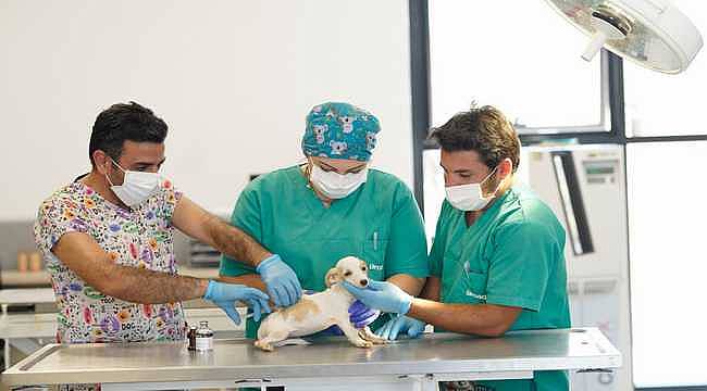 İzmir Büyükşehir Belediyesi, Menemen Seyrek'te hayvan hastanesi kuruyor