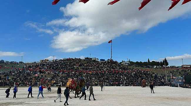 Kınık'ta Geleneksel Deve Güreşleri büyük ilgi gördü