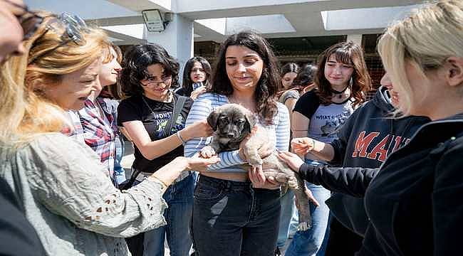 4 Nisan Dünya Sokak Hayvanları Günü PAKO'da kutlandı