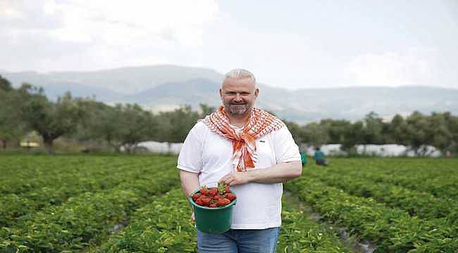 Emiralem Çilek Festivali için geri sayım başladı