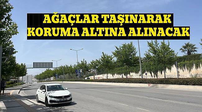 Buca Metrosu'nda Çevre Duyarlılığı: Ağaçlar Taşınarak Korunacak