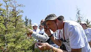 İzmir'de Yangından Zarar Gören Ormanlar İçin Gönüllü Hareketi