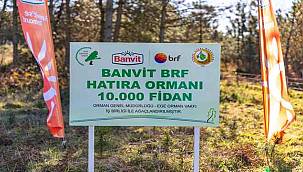 Banvit BRF Ormanları 60 Bin Ağaca Ulaştı: Aydın'da Yeni Fidanlar Toprakla Buluştu