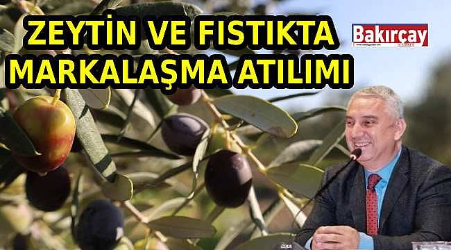 Bergama Belediyesi Kolları Sıvadı: Zeytinyağı ve Çam Fıstığında Marka Atağı