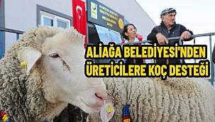 Aliağa'da Üreticilere Yüzde 75 Hibeli Koç Dağıtımı: Küçükbaş Hayvan Sayısı 80 Bine Ulaşacak 