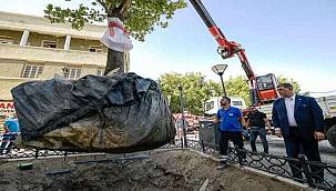 Devrilen çınar ağacı yerine yenisi dikildi