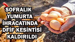 DFİF kesintisi kalktı, yumurta ihracatçısı rahatladı