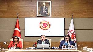 Engelli Bireylerin Sorunlarını Araştırma Komisyonu İkinci Toplantısını Gerçekleştirdi