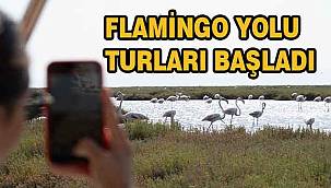 İzmir'de Tabiatın Kalbine Yolculuk: Flamingo Yolu Turları Yeniden Başladı