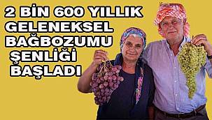 Urla'nın geleneksel bağbozumu şenliği renkli görüntülerle başladı