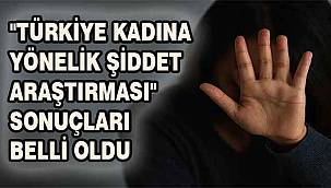 Türkiye'de Kadına Şiddet Araştırması: 2024 Verileri Açıklandı