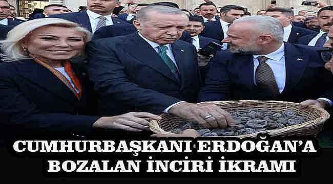 Başkan Pehlivan'dan Cumhurbaşkanı Erdoğan'a incir ikramı