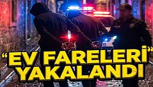 Bergama'da 'Ev Fareleri' Yakalandı